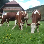 Geigerbauernhof