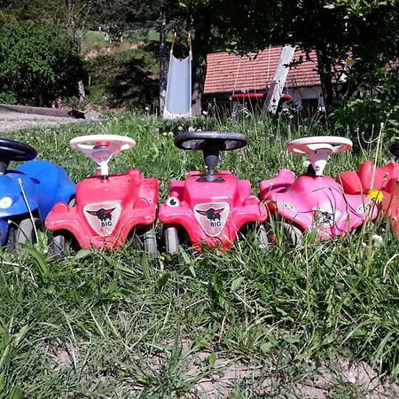 Geigerbauernhof Bauernhof Mühlenbach