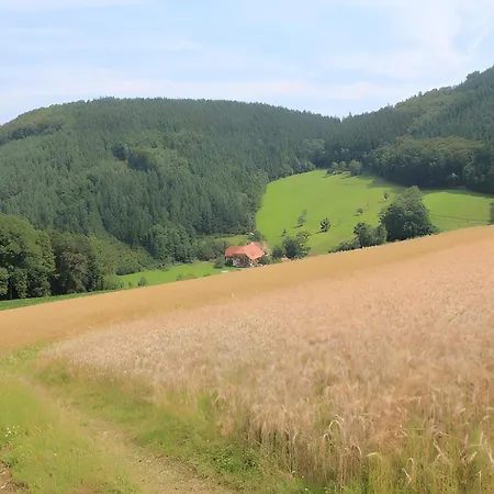 Geigerbauernhof * Mühlenbach
