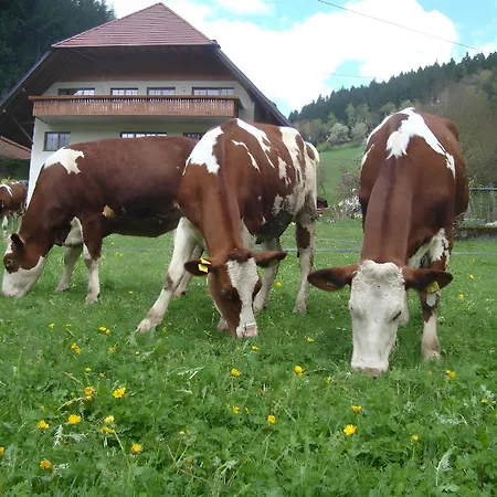Vakantieboerderij Geigerbauernhof Mühlenbach